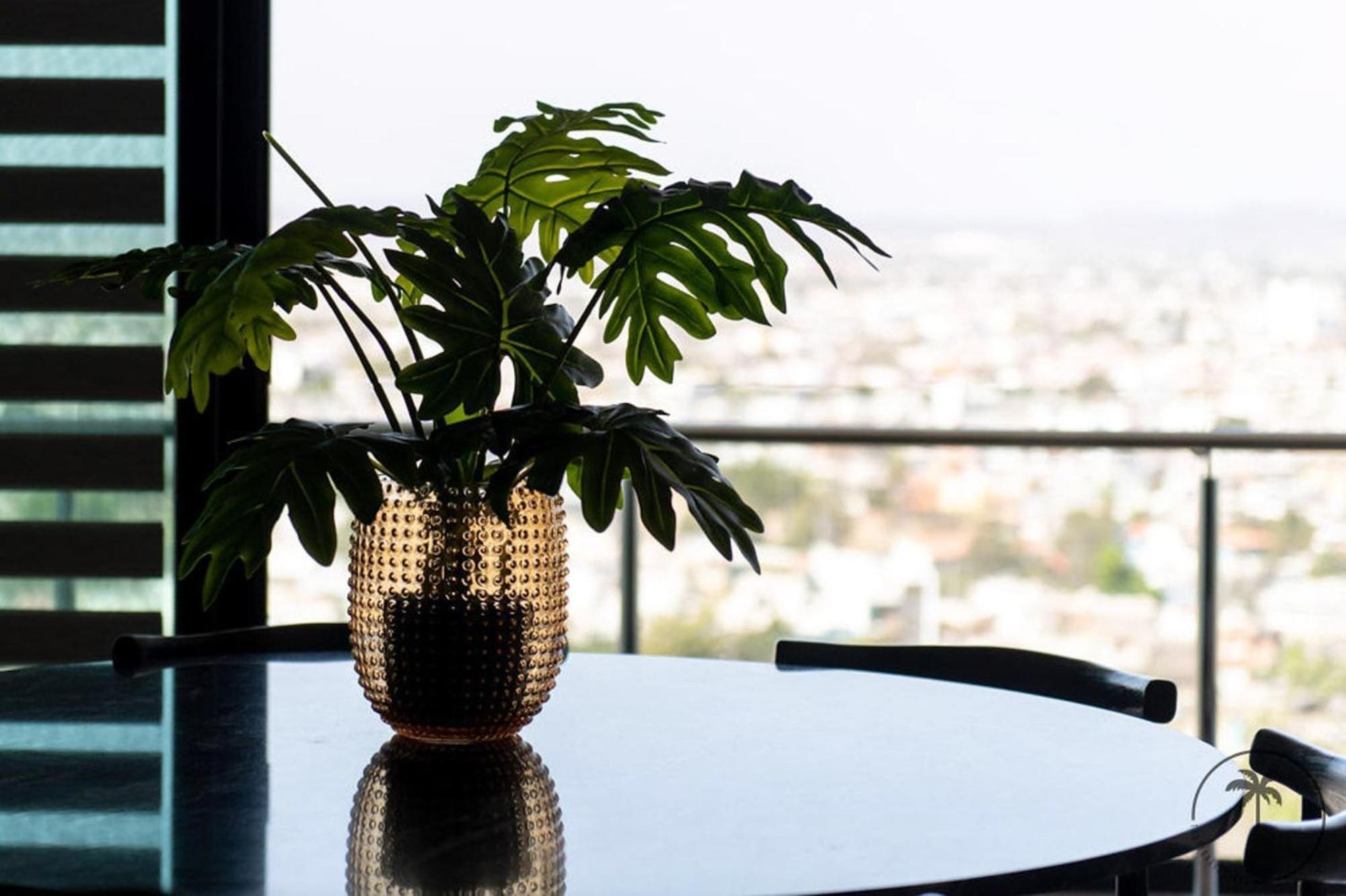Nuevo Departamento En El Malecon! Leilighet Mazatlán Eksteriør bilde
